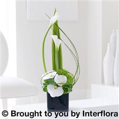 Cool Calla Lily &amp; Orchid Swirl Arrangement