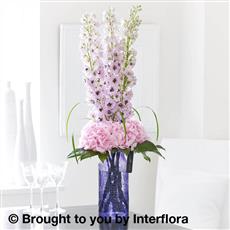 Luxury Hydrangea and Delphinium 