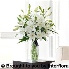 Luxury White Oriental Lily Vase