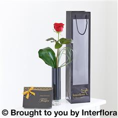 Single Red Rose Gift Set
