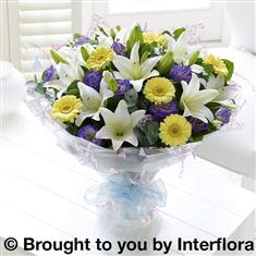 Large Baby Boy Hand-tied