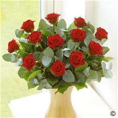 12 Red Roses 2