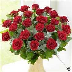 24 Red Roses 2