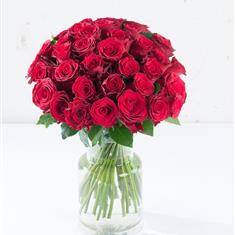 36 Red Roses