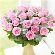 24 Pink Roses