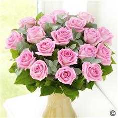 18 Pink Roses