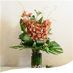 Bronze Cymbidium Orchid Vase Arrangement