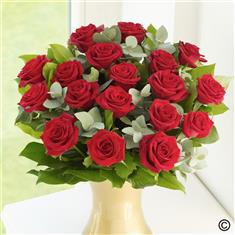 18 Red Roses