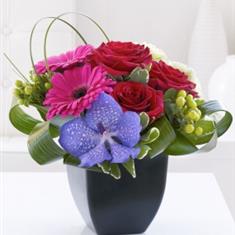 Rose, Gerbera and Vanda Orchid Arrangement