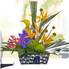 Luxury Tropical Strelitzia Arrangement