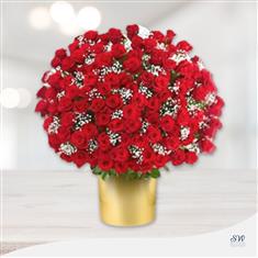 Two Hundred Red Roses &amp; Gypsophila Vase Arrangement