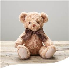SW Bloom&#39;s Charles Bear