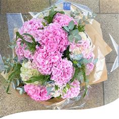 Gift Box - Pink Hydrangea