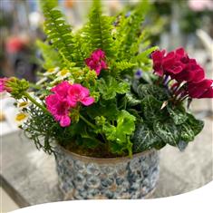 Table Planter in a Pot