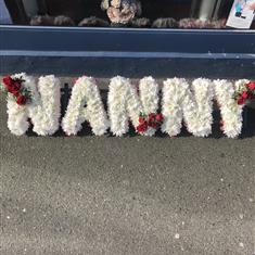 Nanny Tribute 