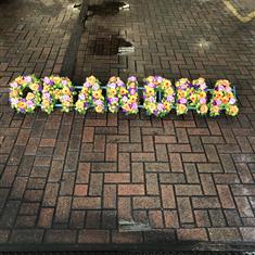 Vibrant Grandma 