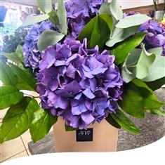 Gift Box - Purple Hydrangea
