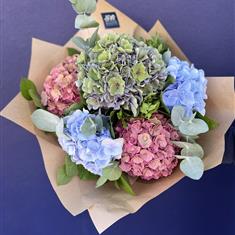 Gift Box - Mixed Colour Hydrangea