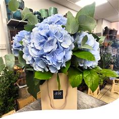 Sky Blue Hydrangea Bouquet