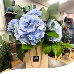 Gift Box - Sky Blue Hydrangea