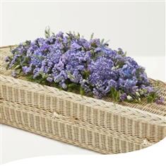 Hydrangea Spray Co Op