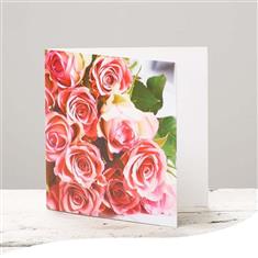 Pink Rose Greetings Card