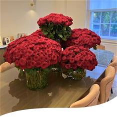 1000 Red Roses in 7 Vases