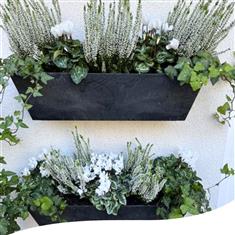 Green &amp; Pearl Window Box