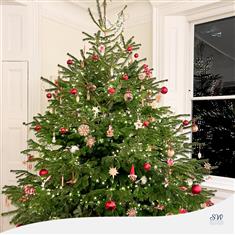 9 - 10 Foot Christmas Tree 