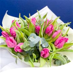 Pink Parrot Tulip Hand-Tied