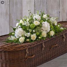 White Coffin Spray