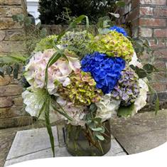 Vase Arrangement - Hydrangea Harmony