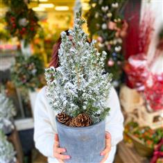 Small White Flocked Tree