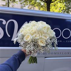 White Rose Cluster with Gyp