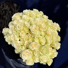 White Mondial Roses