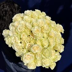 15 White Roses