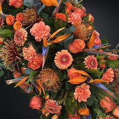 Bright Orange Coffin Spray 