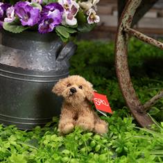 Labradoodle Cuddly Toy