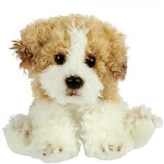 Malti-Poo Cuddly Toy