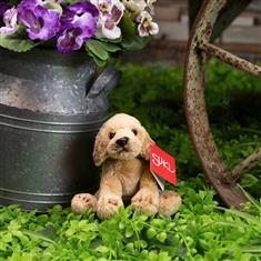 Yellow Labrador Cuddly Toy