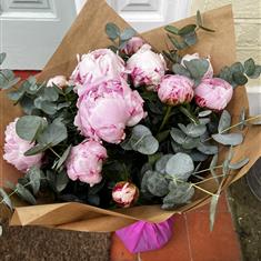 Sarah Bernardht Peony