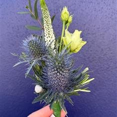 Eryngium Buttonhole
