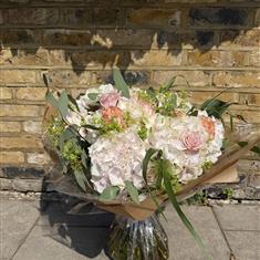 Pastel Rose and Hydrangea Hand Tied