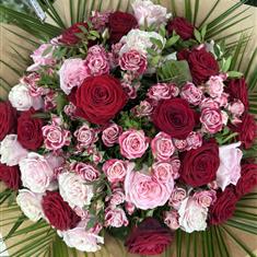 50 Pink, Red and Cerise Roses