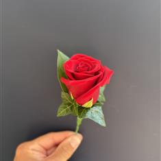 Red Rose Buttonhole