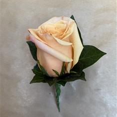 Shimmer Rose Buttonhole