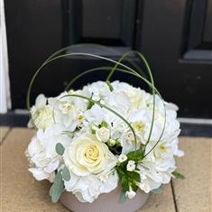 Orchid, Rose and Hydrangea Bowl