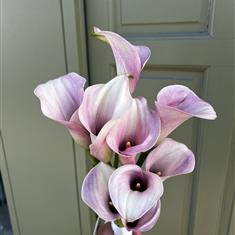 Pink Calla Lily Bridal Bouquet