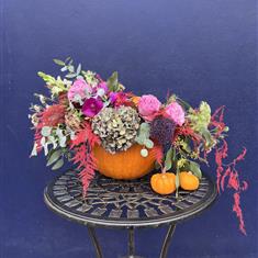 Blushing Harvest Pumpkin Arrangement