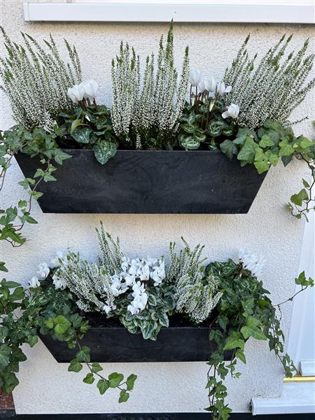 Winterizing Boxes Winter Window Box